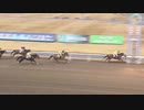 2021年1月28日川崎競馬11R 多摩川（たまがわ）オープン(地方全国交流) ファルコンウィング