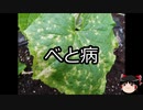【ゆっくり朗読】ゆっくりさんと不思議な病気 その299