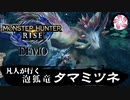 【MHR-DEMO】凡人が行くタマミツネ