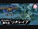 【MHR-DEMO】凡人が行くリオレイア＆タマミツネ