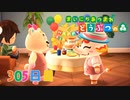 【実況】まいにち あつまれ どうぶつの森305日目