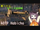 【WoT】きりたんのMバッチ回収録　40TP Habicha