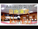 もう一つの合気道　身に付けて役に立つ❗　武士道□ 演武　2017/ 11/ 26。力づくには限界があり体力のある方が強い。技で対応すれば限界がなく磨けば磨くほど強くなる。