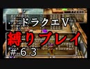 【ドラクエ5 縛りプレイ】前回のフリーズで気を削がれたので今回もゴールド稼ぎます。Part63【アルカリ性】