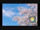 サイモン・パークスさん (和訳) 2021年1月28日