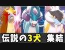 【実況】ポケモン剣盾 伝説の3犬統一パーティでたわむれる