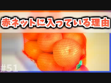 【ゆっくり解説】みかんが赤色のネットに入っている理由【今日の豆知識】