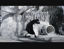 【くむ】メーベル　踊ってみた