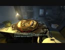 【Portal2】高所恐怖３Dアクション2　Part11【実況】