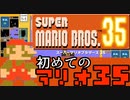 35人のマリオと戦え！バトルロワイアル！！【マリオブラザーズ３５】