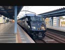 黒い787系｢36ぷらす3｣ 回送  宮崎駅出発！(2021/1/15 撮影)