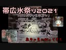 帯広氷祭り夜中に見てきた