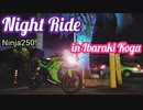 Night Ride in Ibaraki Koga