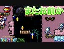 約10年ぶりのヨッシーアイランド【ノーダメージ縛り】実況プレイ PART5