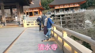 京都散策