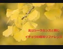 【スパイスを知ろう！】イチョウを知ろう！【part61】