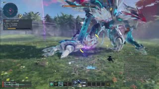 【PSO2 NGS Cβ1】2日目夕方の緊急クエスト Gu/Fo（声有）