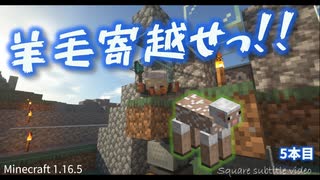 マップアートの素材(羊毛)って自動化しないと集めてられないよね!?【■マイクラゆっくり実況5本目】■Minecraft subtitles video