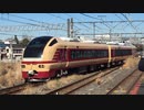 E653系K70編成 成田山初詣常磐号 成田駅5番線入線