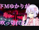 【ポケモン剣盾】ドMゆかりが吹っ切れた