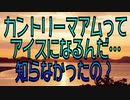 カントリーマアムってアイスになるんだ…知らなかったの？