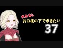 【Skyrim】吸血鬼もお日様の下で歩きたい37