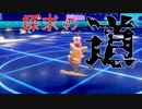 【ポケモン剣盾】時空の歪みに挑む探求の道【ライチュウ】