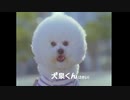 【2007年】KIRIN FIRE 挽きたて微糖『犬泉くん・絶好調』篇