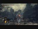 真・どんくさい私でもダークソウル3実況プレイpart10