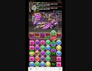 【パズドラ】壊滅極限コロシアム　星壊の滅翼　ベジットPT　出させてくれよ・・・本気を　カット版