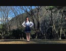 【ぴよちゃ】チルノのパーフェクトさんすう教室踊ってみた