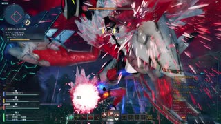 PSO2:NGS ペダス・ヴェラ戦 3:46 【Fi/Hu×2/Te】