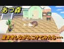 あつまれどうぶつの森　豆まきしながらこけてみたら・・・検証シリーズ　【あつ森】