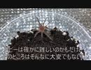 [お尻のみ]タランチュラ飼育日記その８０[いいお尻]