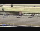 アポロティアモ　東京・4歳以上1勝クラス　2021年1月31日