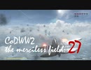 CoDWWⅡ the merciless field: 27
