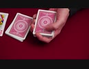 277 トップカードのバックル