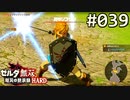 【実況】#039:ゼルダ無双 厄災の黙示録 初見実況プレイ【ハード】