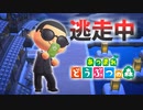 【あつ森】逃走中を森でやってみた 江戸編 in江戸編こはく島【実況】あつまれどうぶつの森