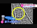「食塩の結晶できる瞬間」最新の顕微鏡で撮影に成功