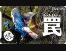 0119R1カワラバトが蔦に脚を取られる