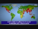「サベツアル～ヘイトアル～」「ウルセーダマレヤカマシイ」＃武漢肺炎＃中国ウイルス