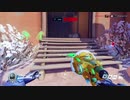 Overwatch オーバーウォッチ適当実況動画part242
