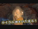【Death Stranding】まったりクール便 Part 136【実況】
