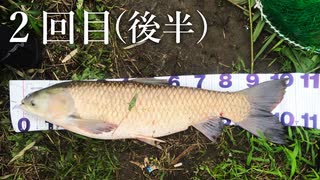 【後援会アーカイブ】夏の河川でソウギョ釣り！2回目　後半