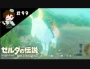 【実況】マスターモードでやりこみサバイバル生活！！　Part99【ゼルダの伝説　BotW】