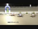 株式会社テレビ高知協賛 黒船賞選考競走［地方全国交流］第18回黒潮スプリンターズカップ サクラレグナム