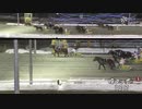 第1回翔雲賞 タカナミ