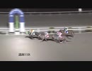 2021年1月31日高知競馬11R 新型コロナウイルス感染症対策支援(A-2組) ペガッソ