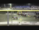 2021年2月1日帯広競馬11R ダイヤモンドダスト賞(5歳OP) コマサンエース